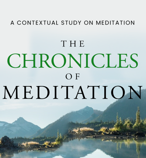 The Chronicles of Meditation